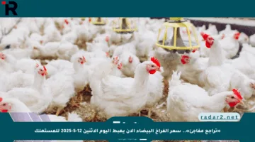 «تراجع مفاجئ».. سعر الفراخ البيضاء الآن يهبط اليوم الإثنين 12-5-2025 للمستهلك